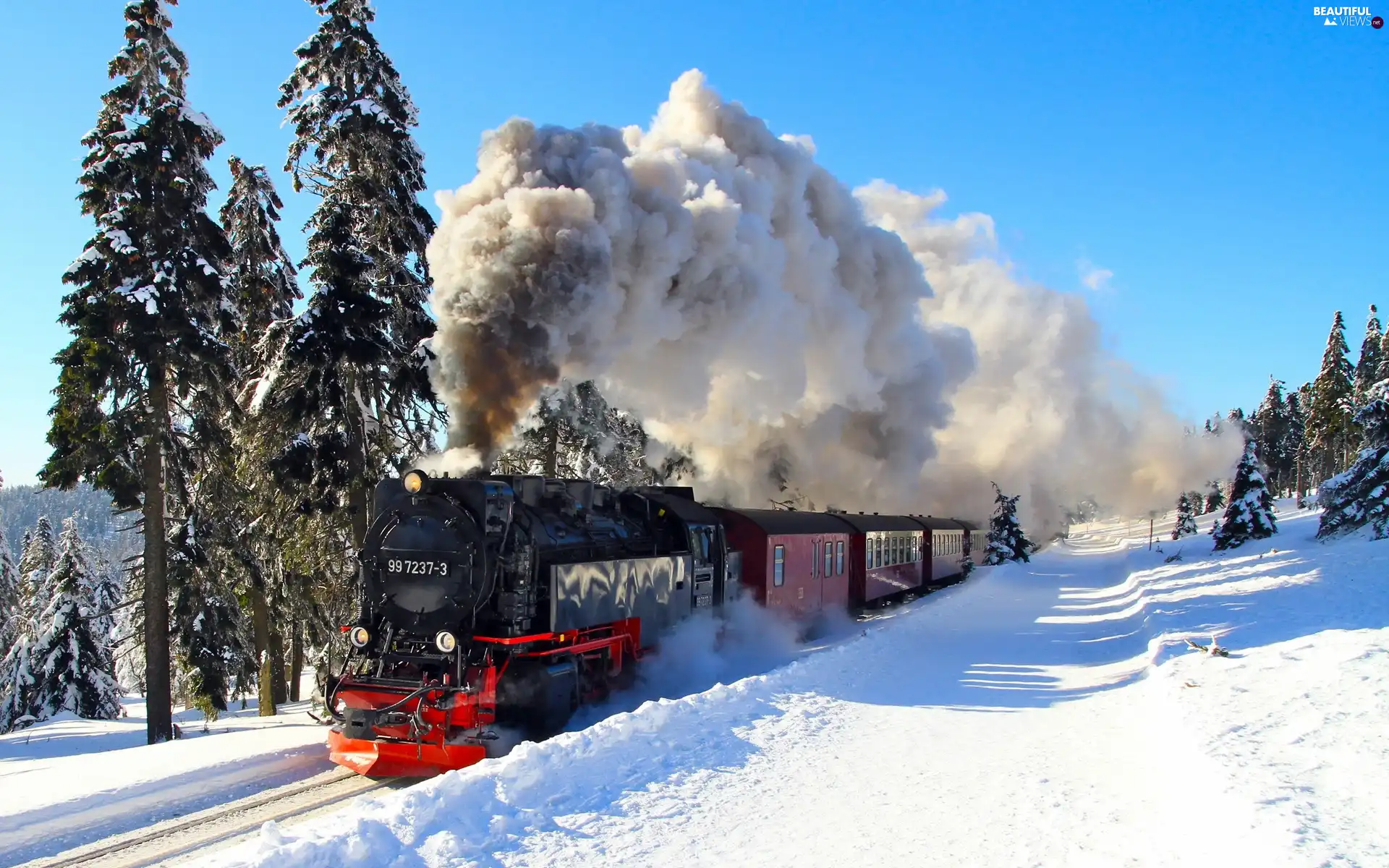 Train, viewes, winter, trees