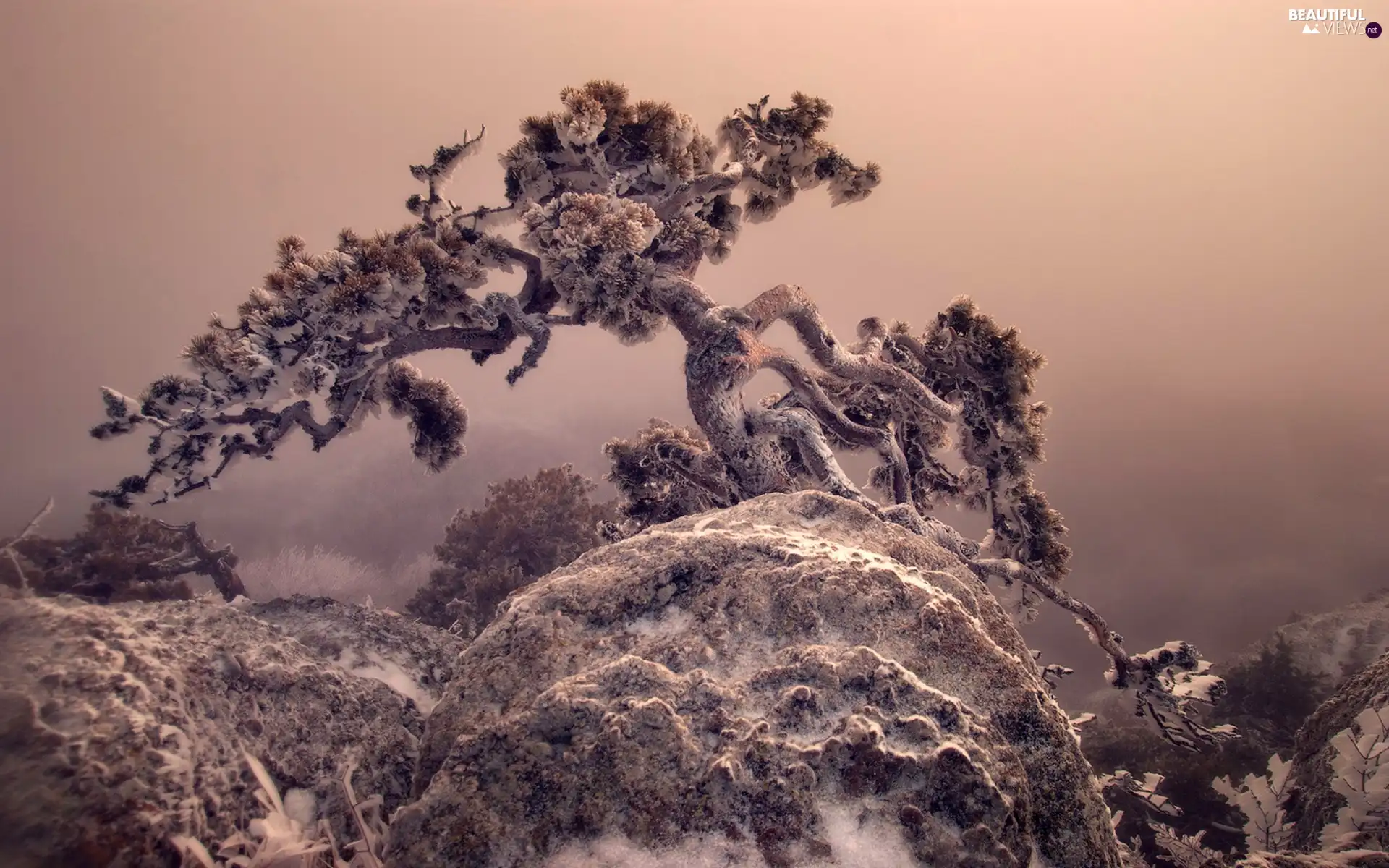 winter, rocks, trees