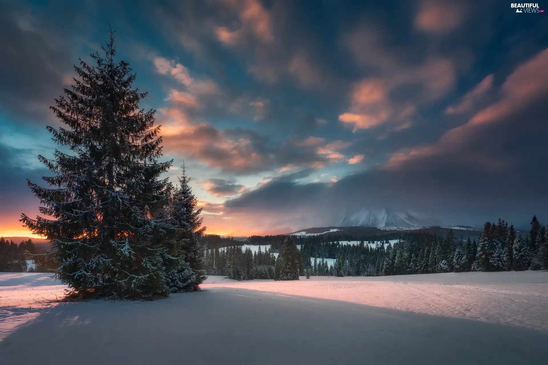 winter, Belianske Tatras Mountain Range, viewes, Sunrise, Slovakia, trees, snow