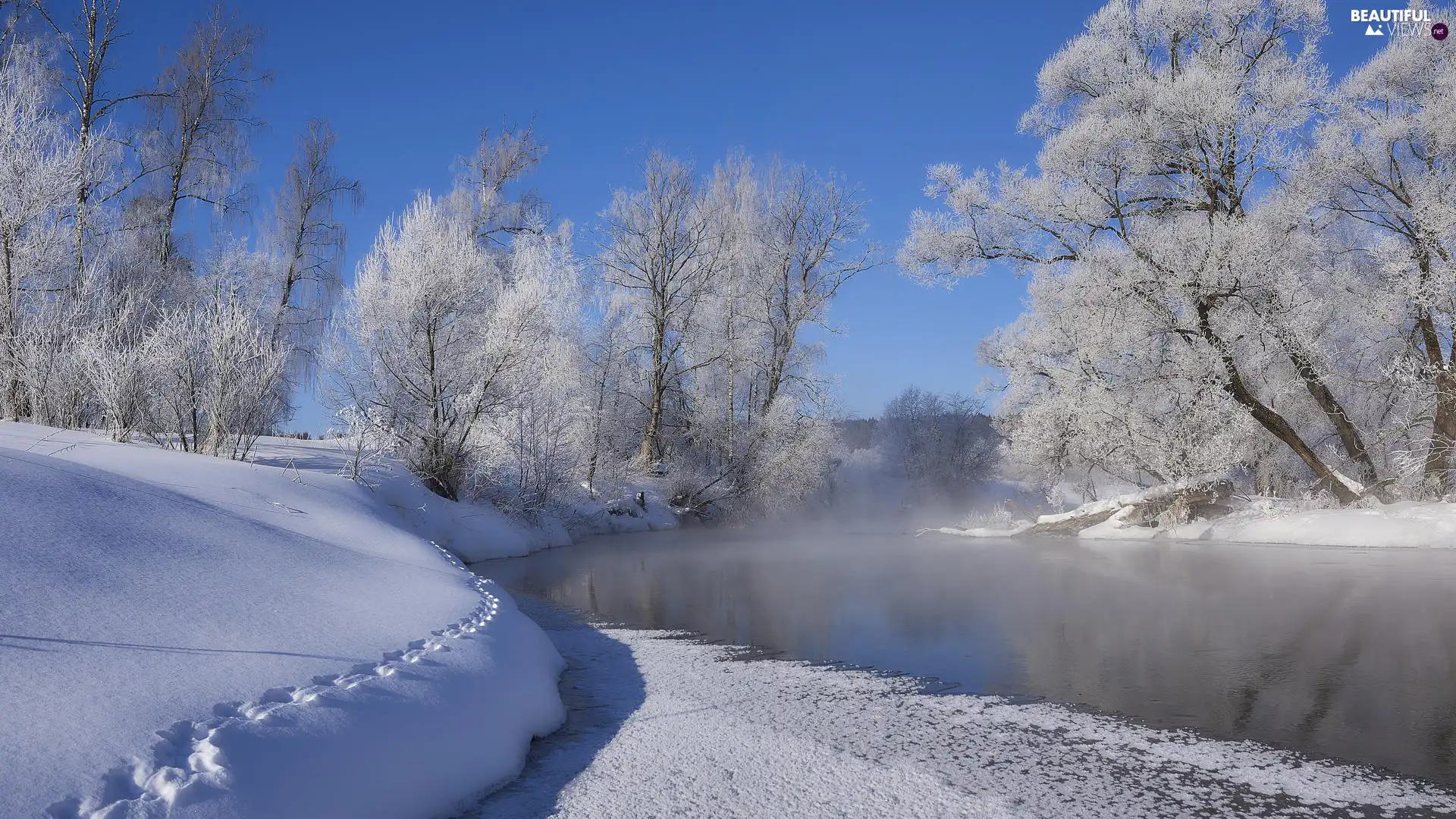 traces, River, viewes, blue, White frost, winter, trees, Sky, Fog, snow