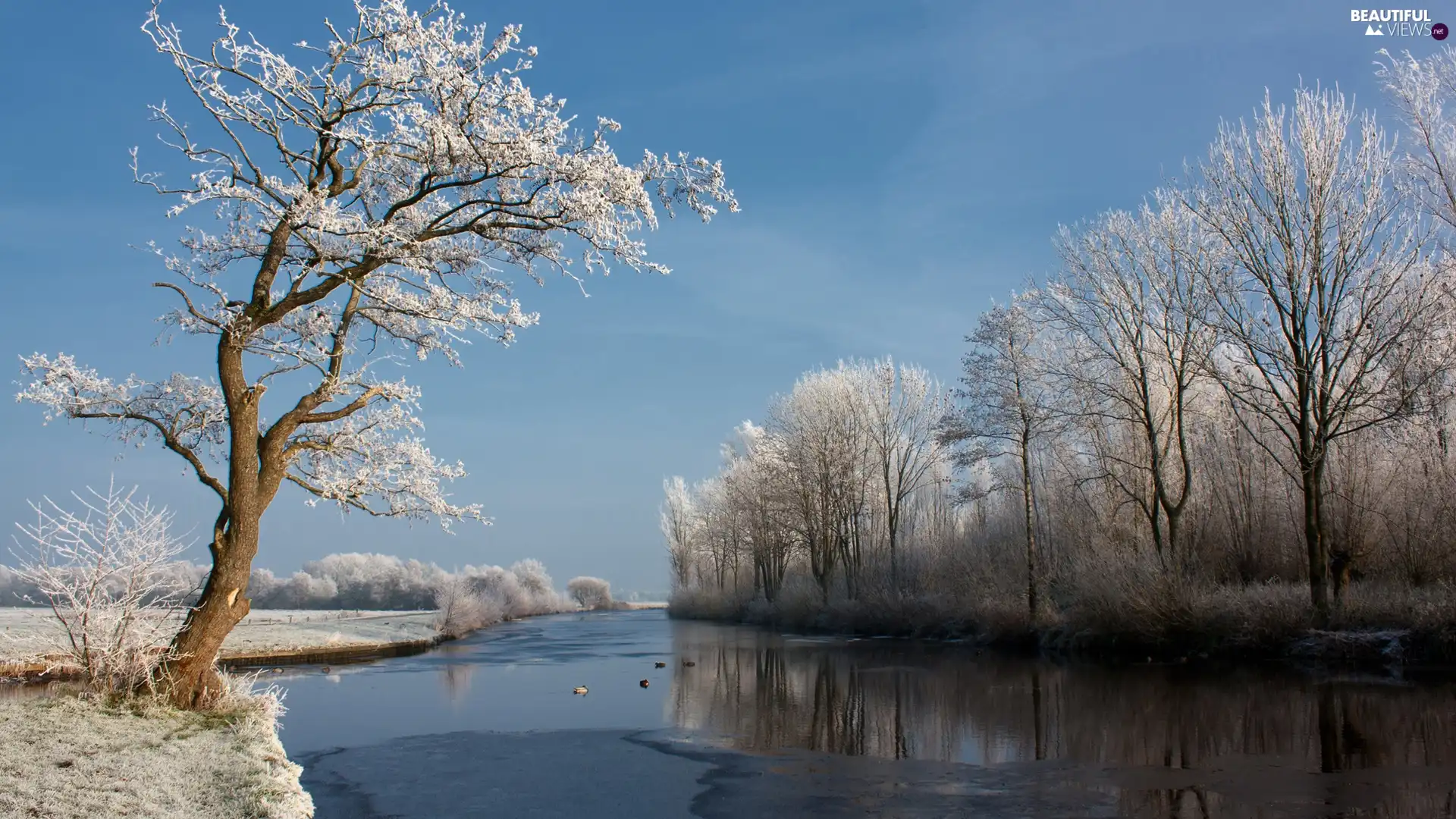 winter, View, trees, viewes, River