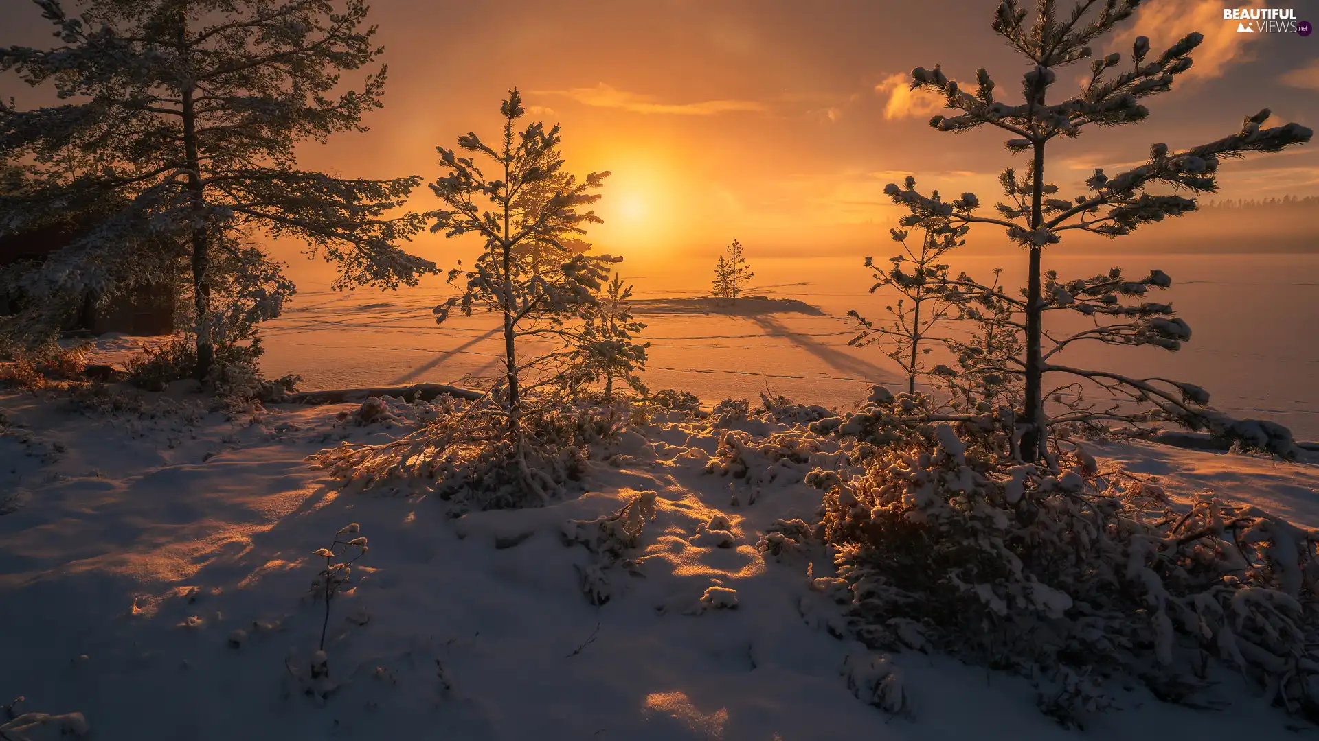 winter, Great Sunsets, snow, snowy, Ringerike, Norway, trees, viewes, lake