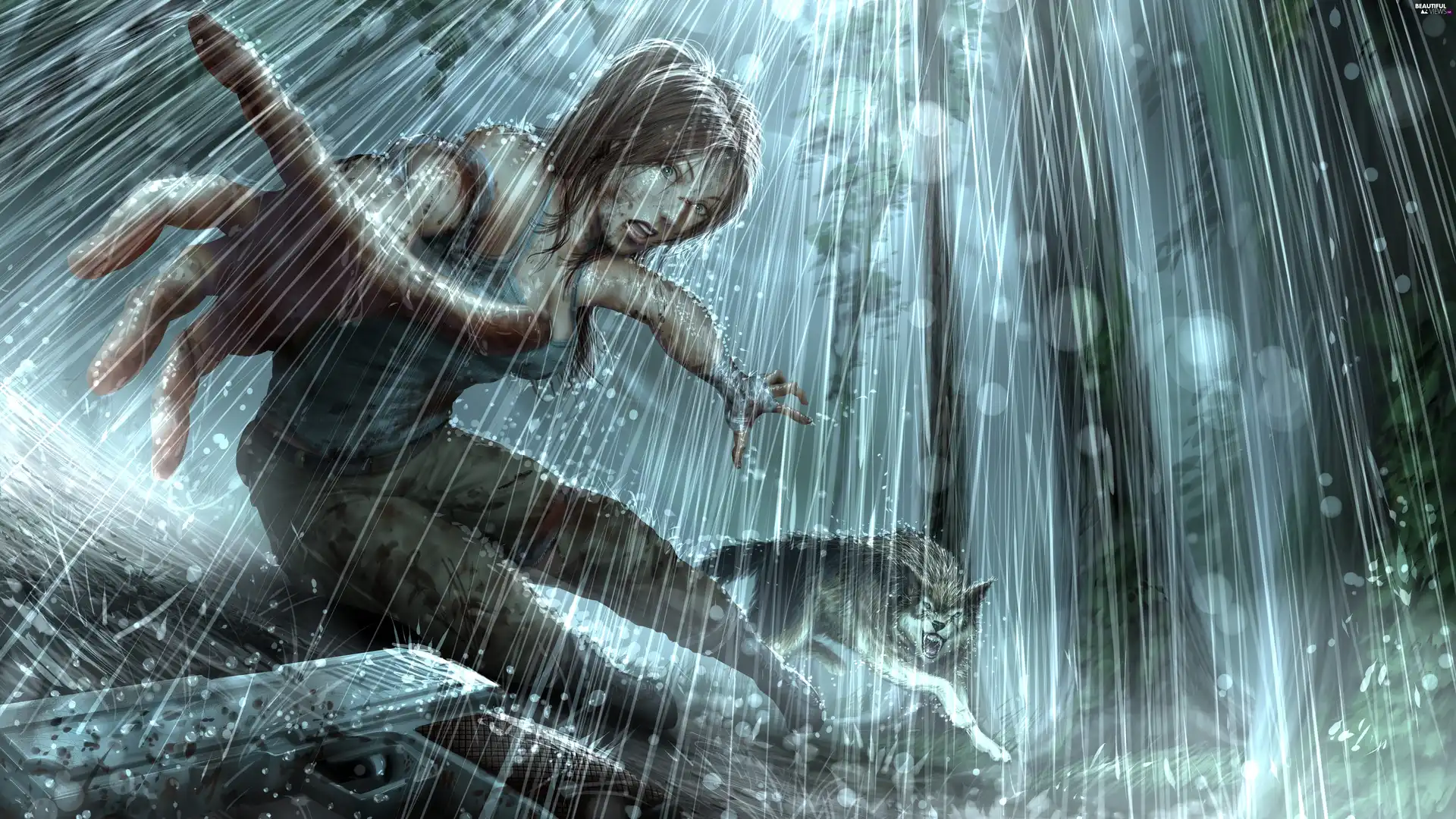 Tomb Raider, Rain, Wolf, Lara Croft