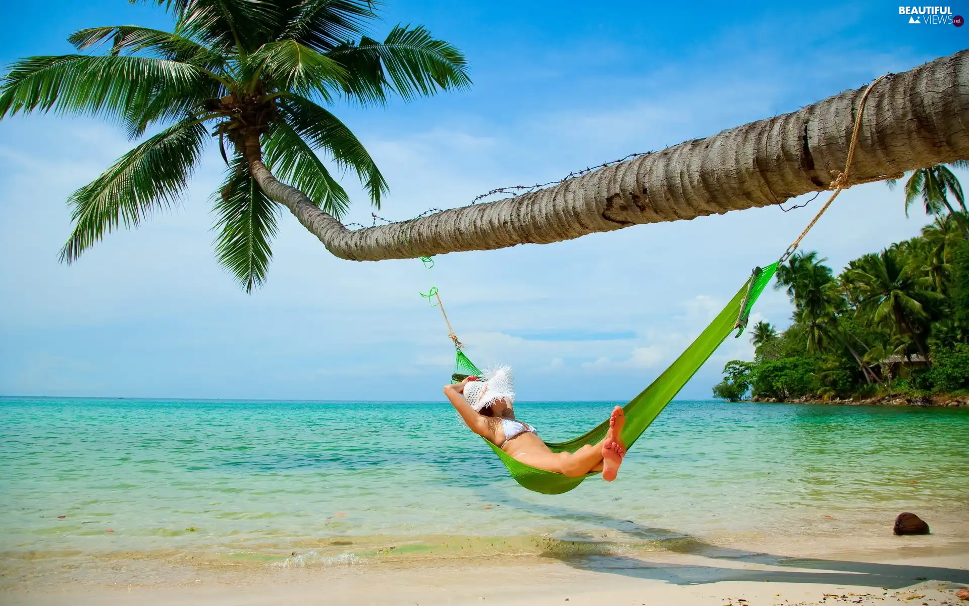 Beaches, Hammock, Women, Palm