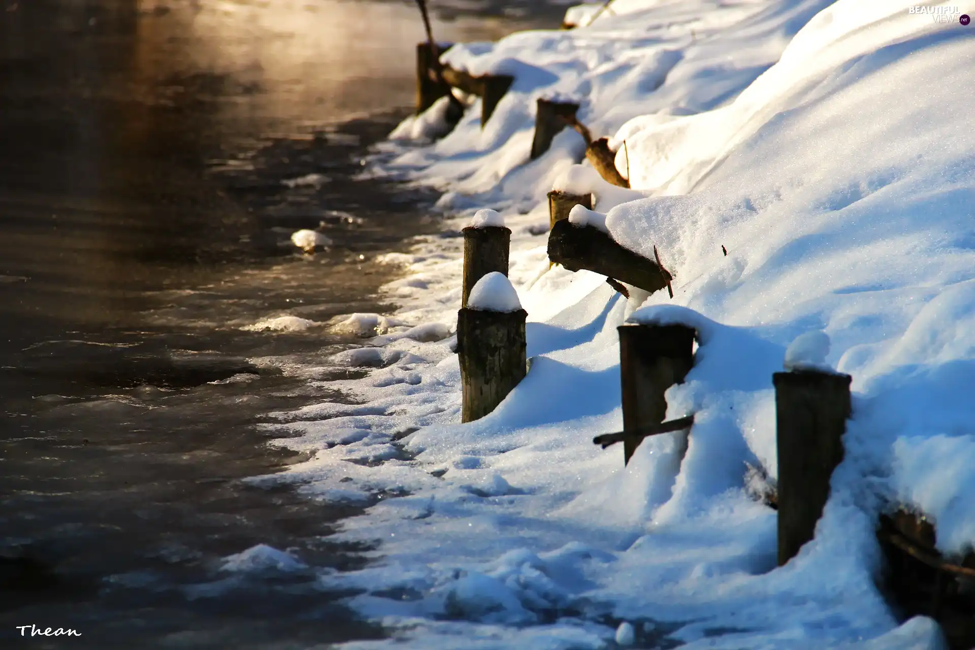 wood, Pins, coast, lake, snow