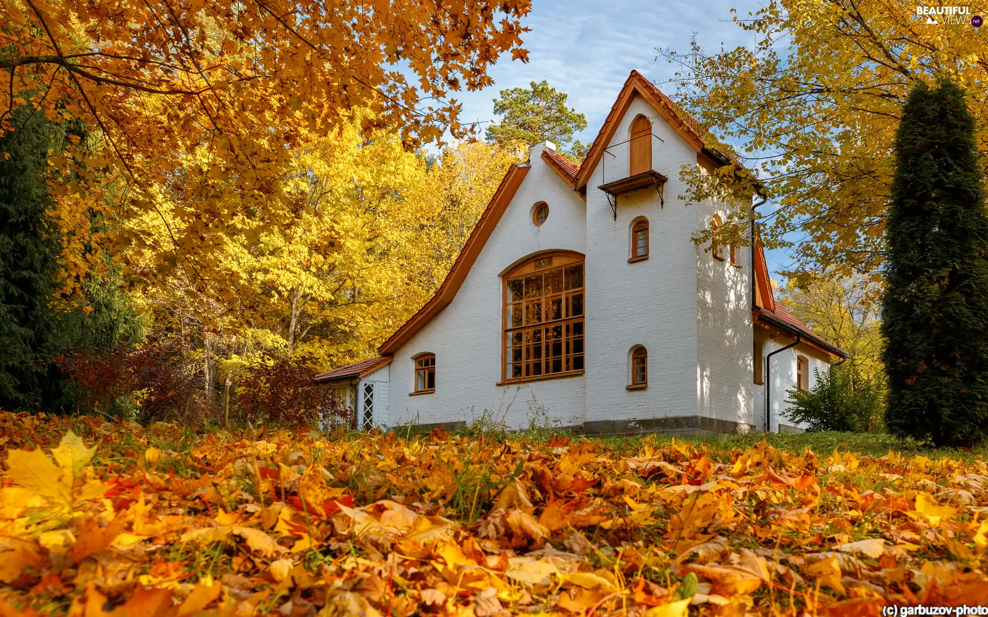 Windows, house, viewes, wood, White, trees, autumn