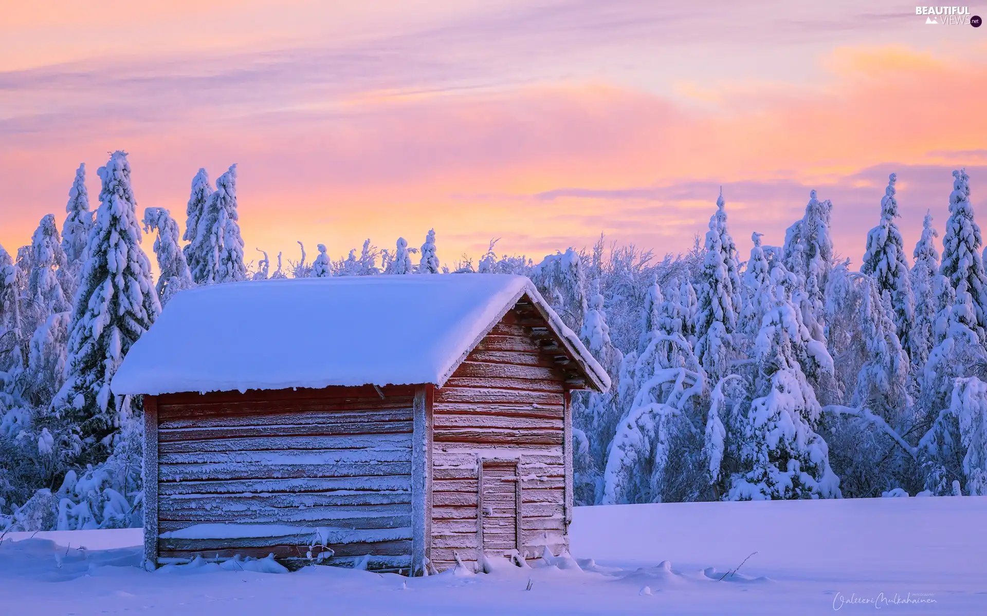 viewes, winter, cottage, Wooden, Snowy, trees