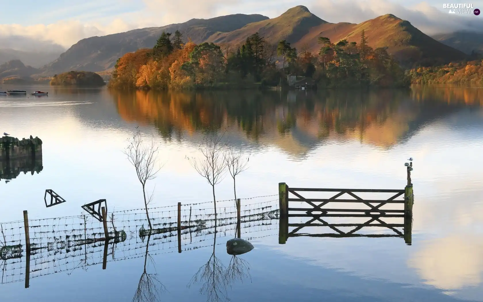 woods, autumn, Boats, Mountains, lake