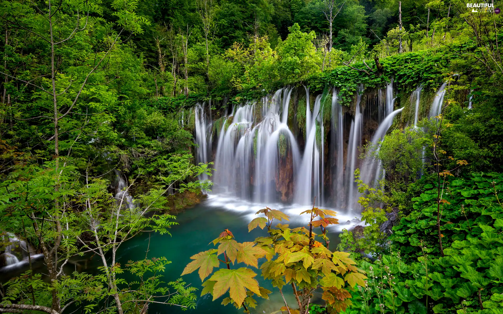 woods, Plitvice Lakes National Park, viewes, Coartia, trees, waterfall
