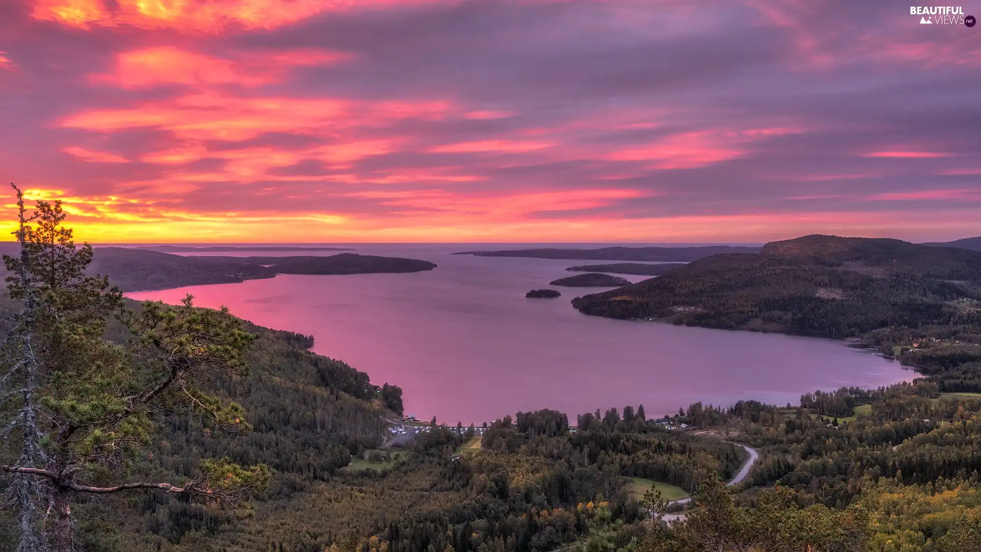 woods, trees, Great Sunsets, viewes, Way, Gulf, sea, Houses