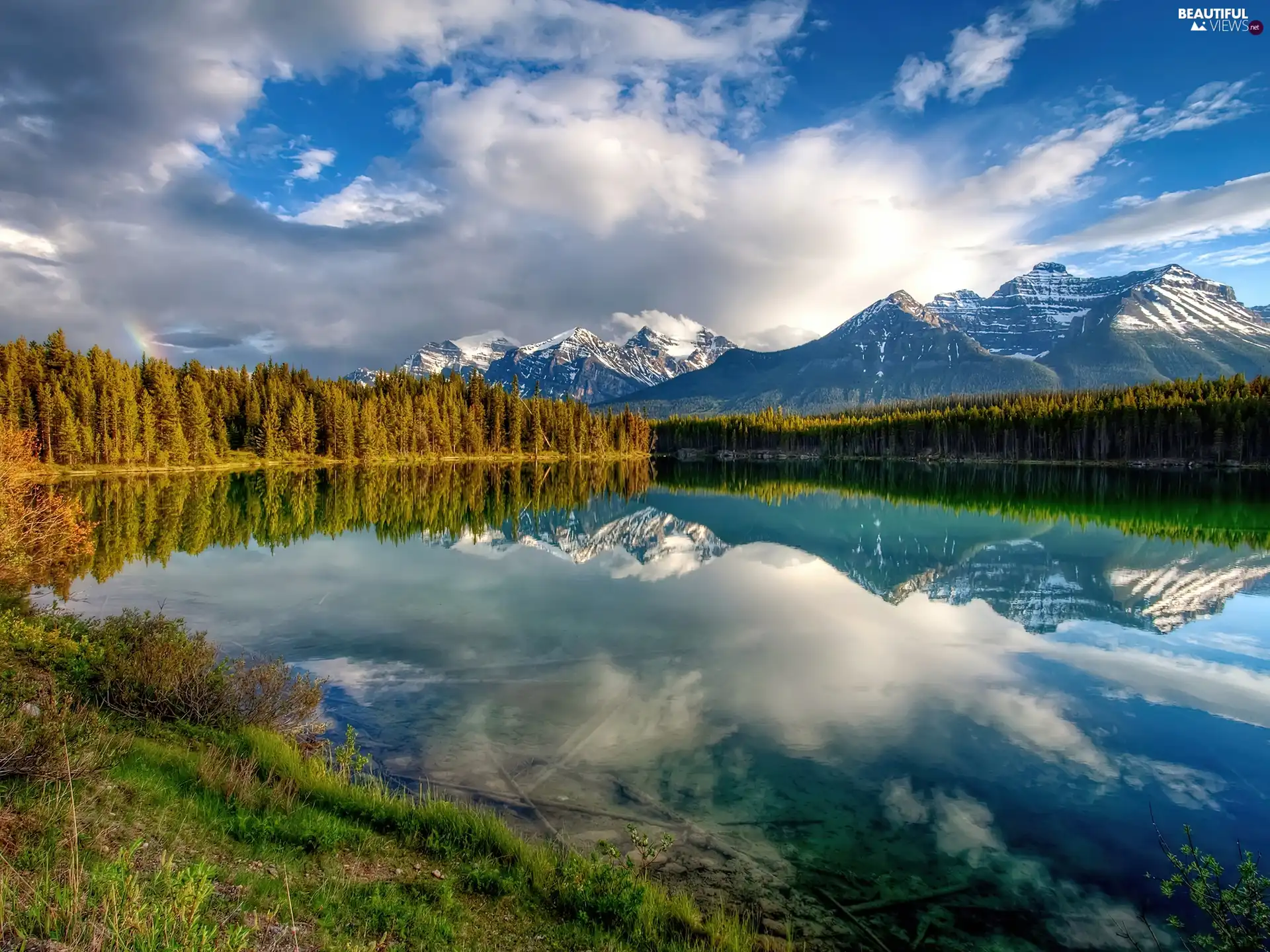 woods, Mountains, lake