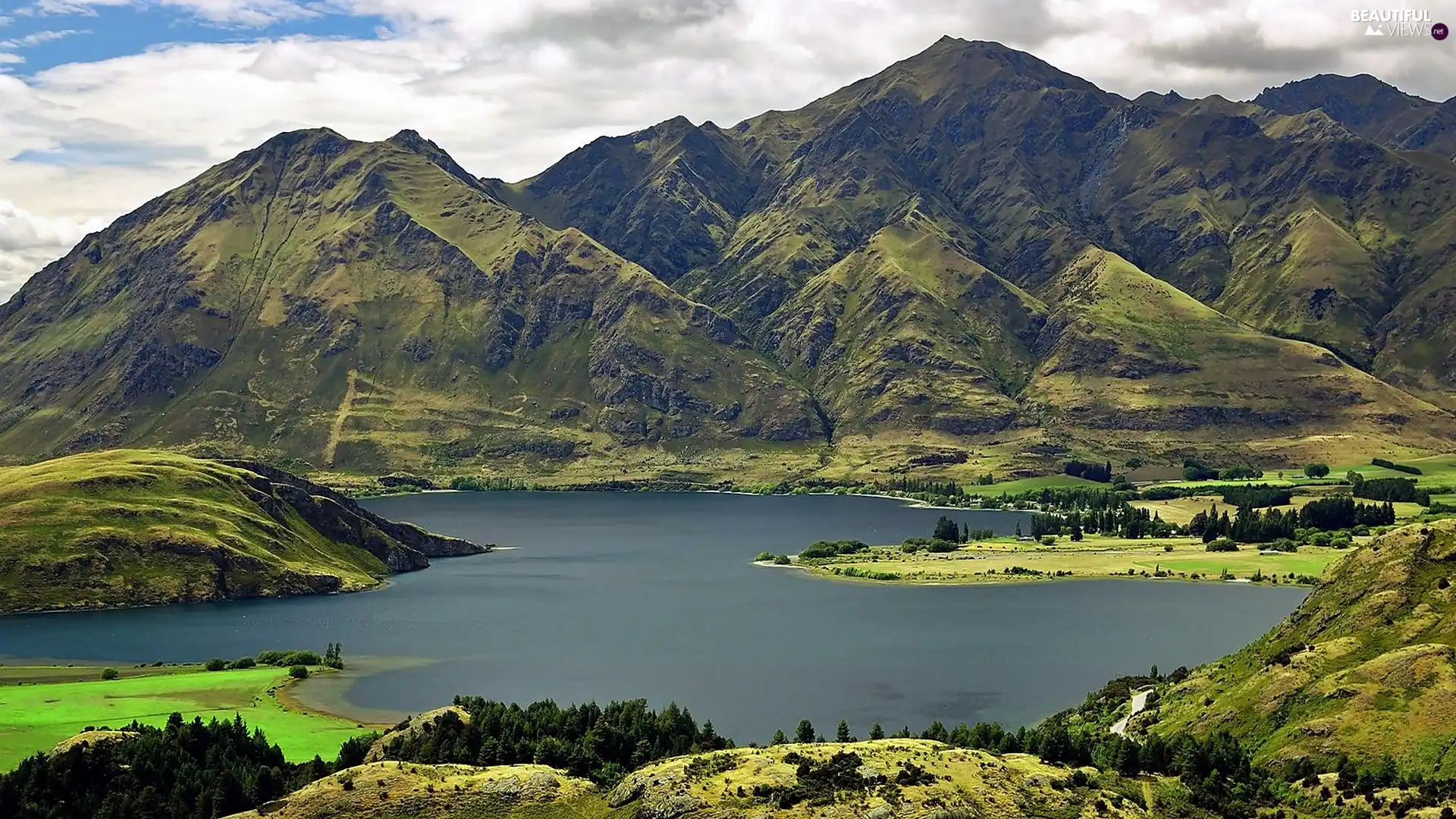 woods, medows, lake, Wanaka, Mountains