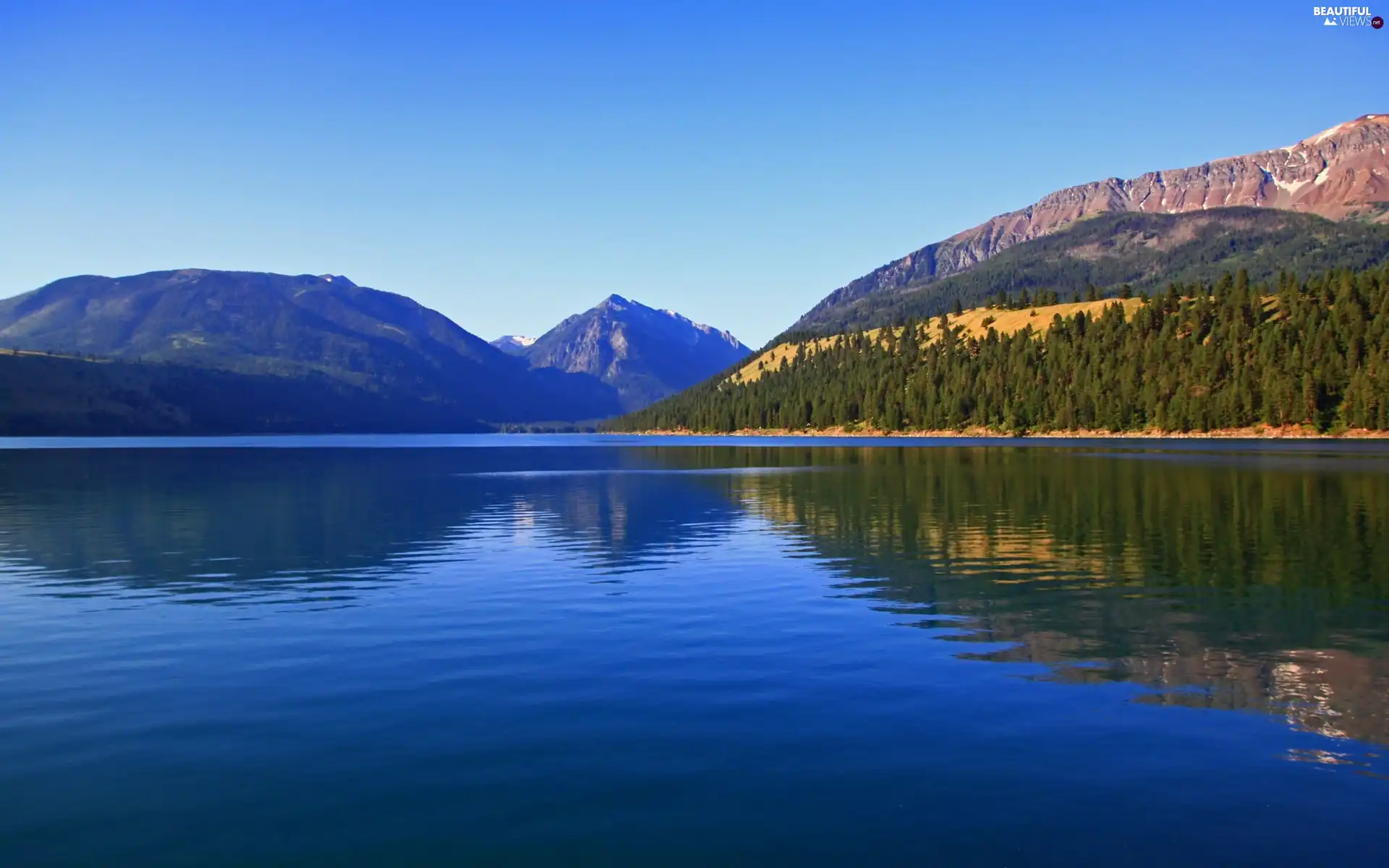 woods, lake, Mountains