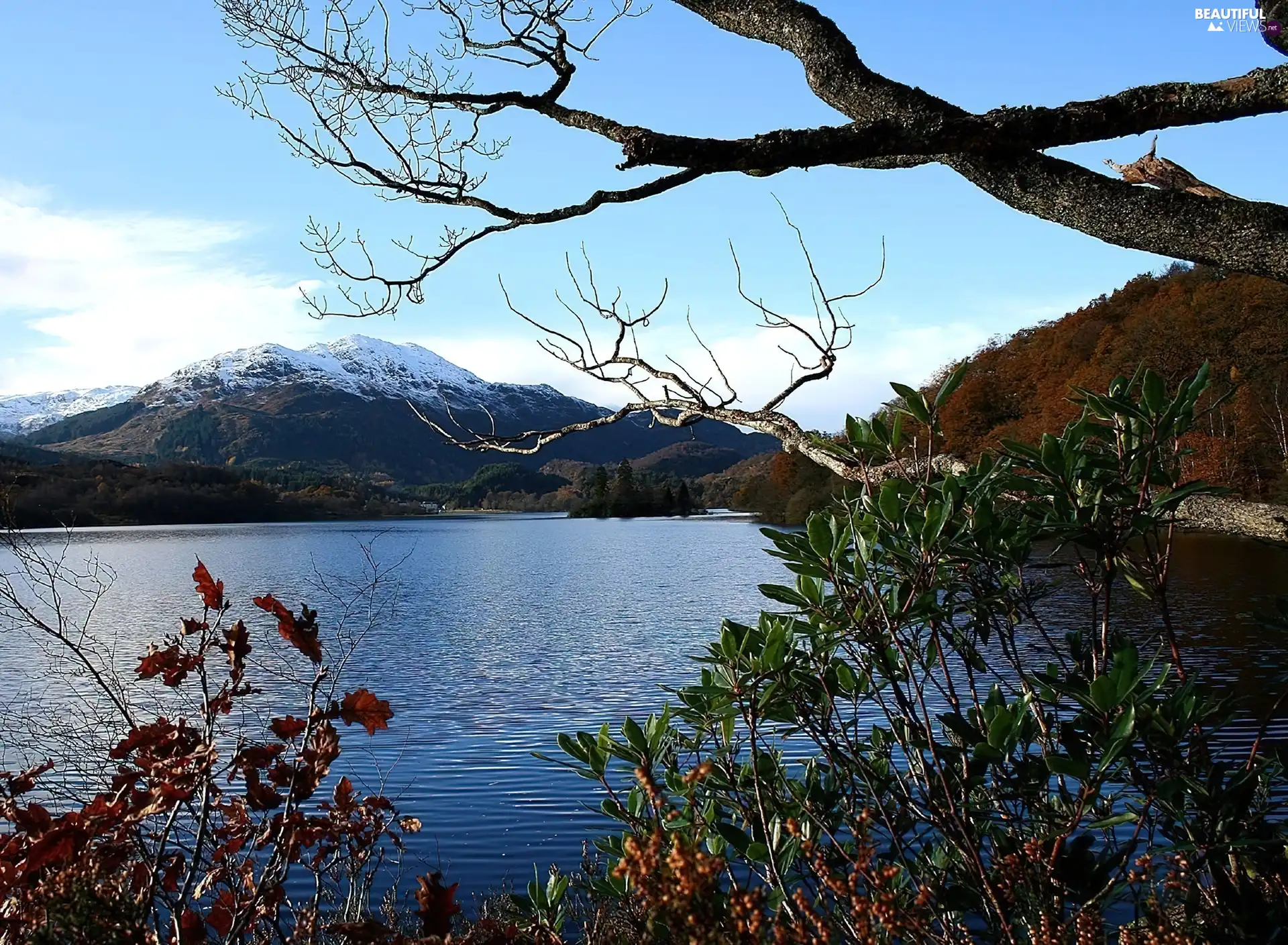 woods, lake, Mountains