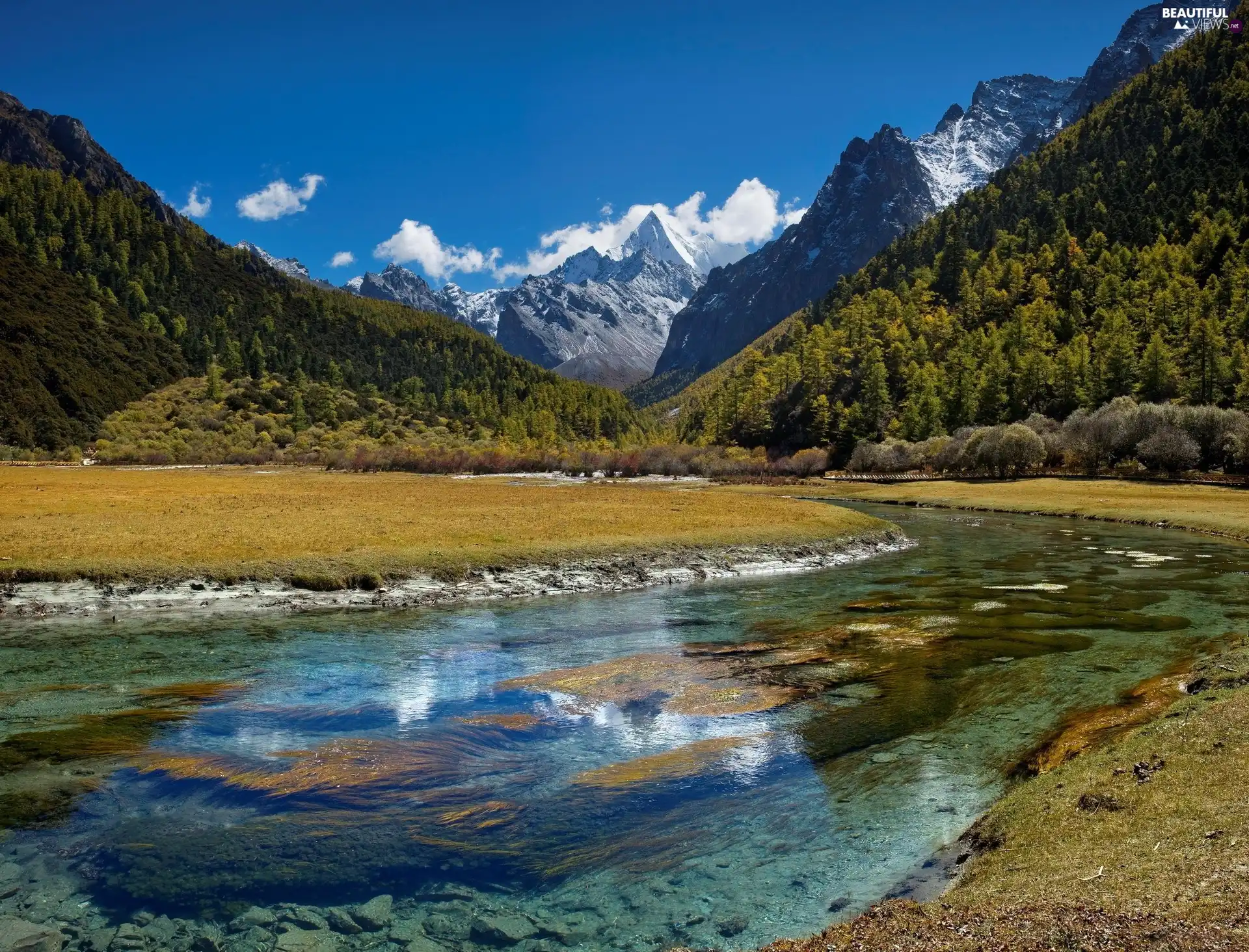 woods, River, Mountains