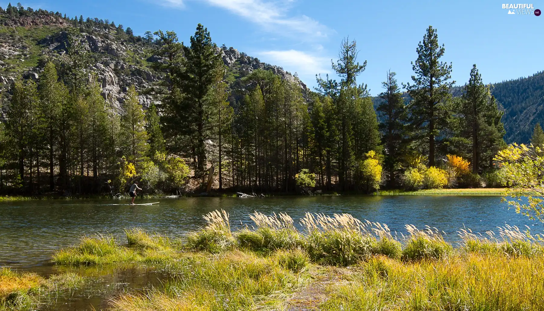 woods, River, Mountains