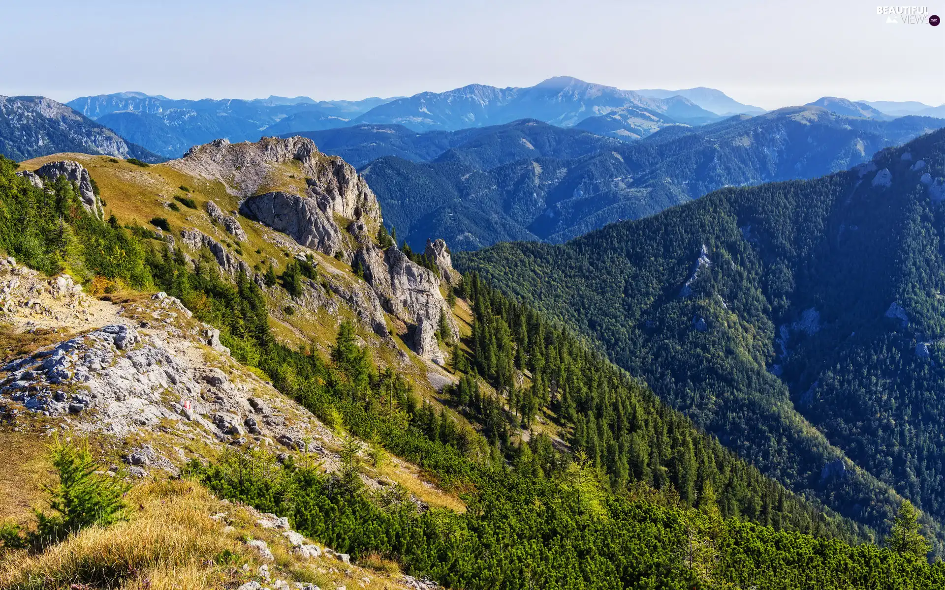 Styria, Austria, rocks, woods, Hochschwab Mountains