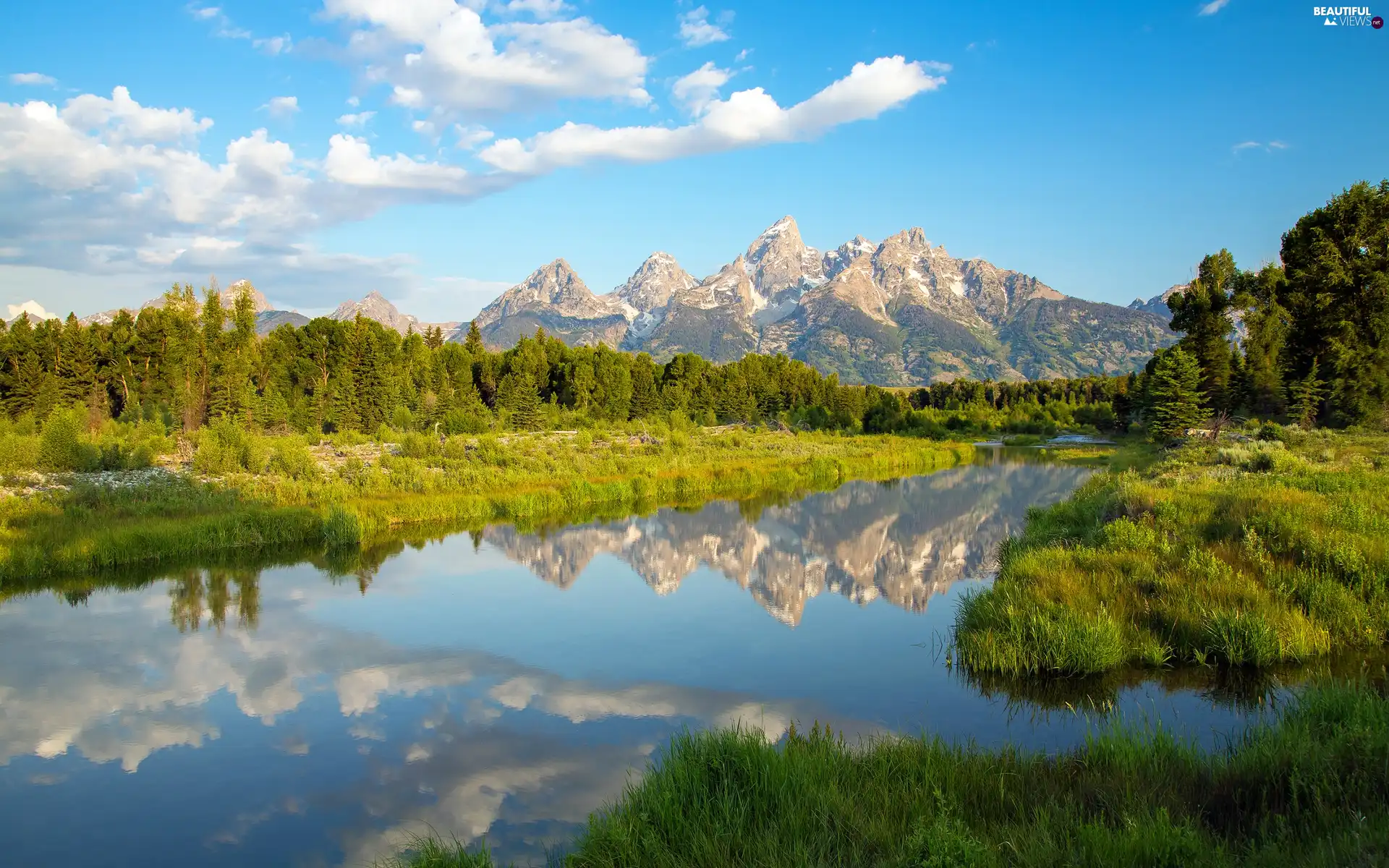 woods, Mountains, River