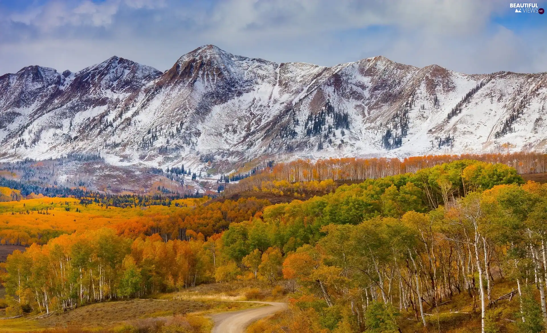 State of Colorado, The United States, autumn, Mountains, woods, Way, trees, viewes, Ohio Pass
