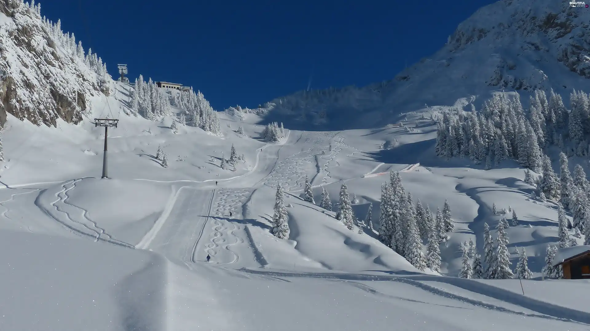 winter, Downhill Course, woods, Mountains