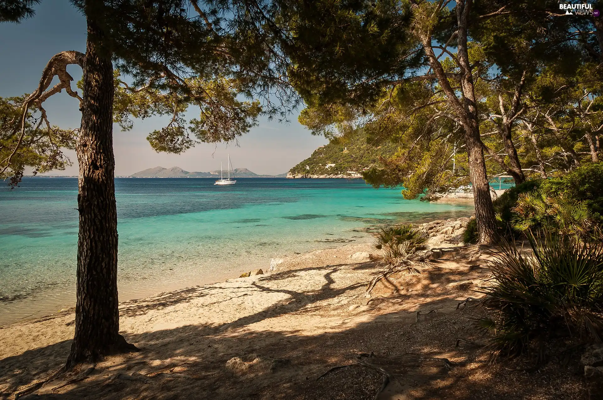 viewes, Yacht, Beaches, trees, sea