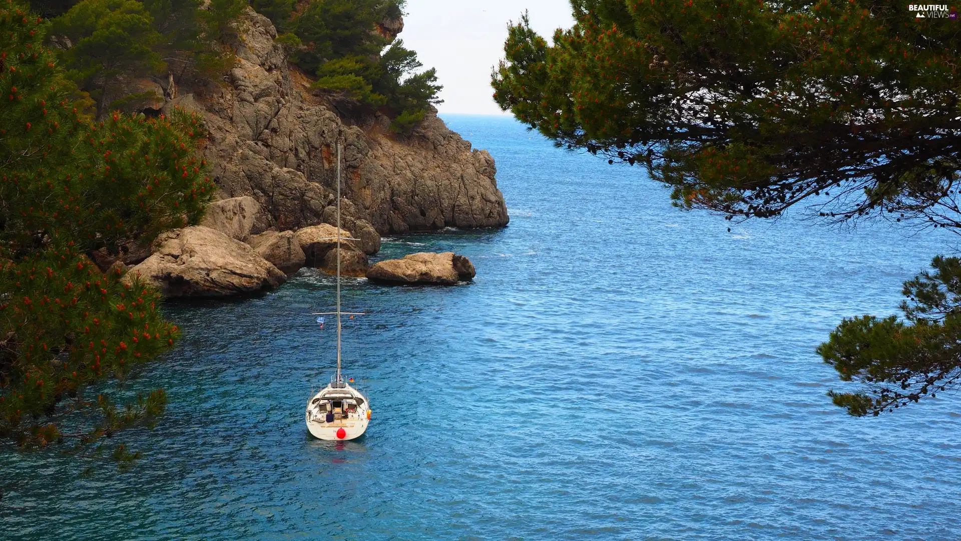 viewes, Yacht, rocks, trees, sea