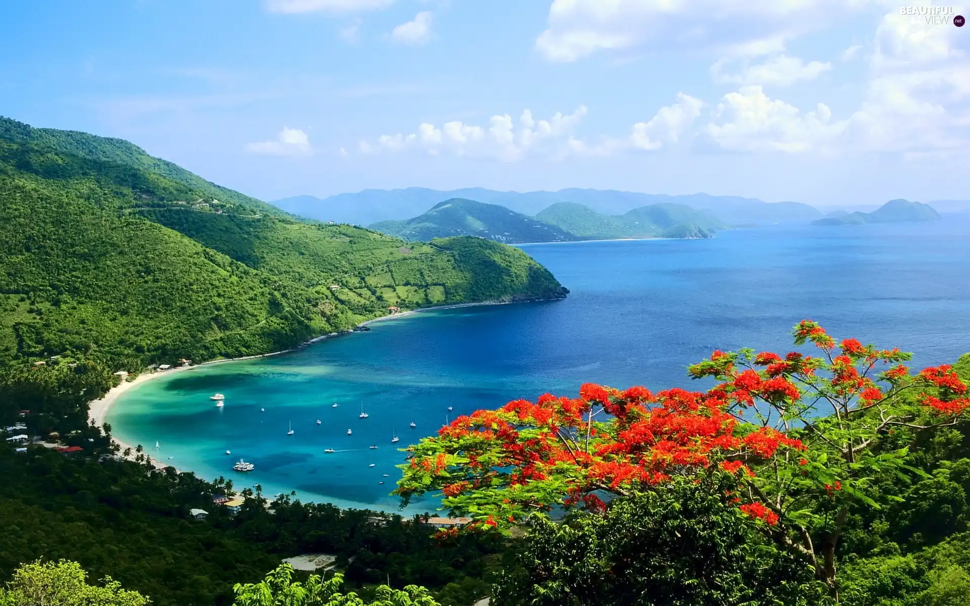 sea, Flowers, Yachts, The Hills