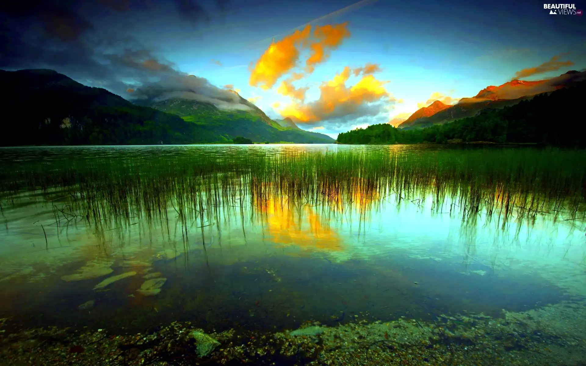 Yellow, clouds, lake, rushes, Mountains