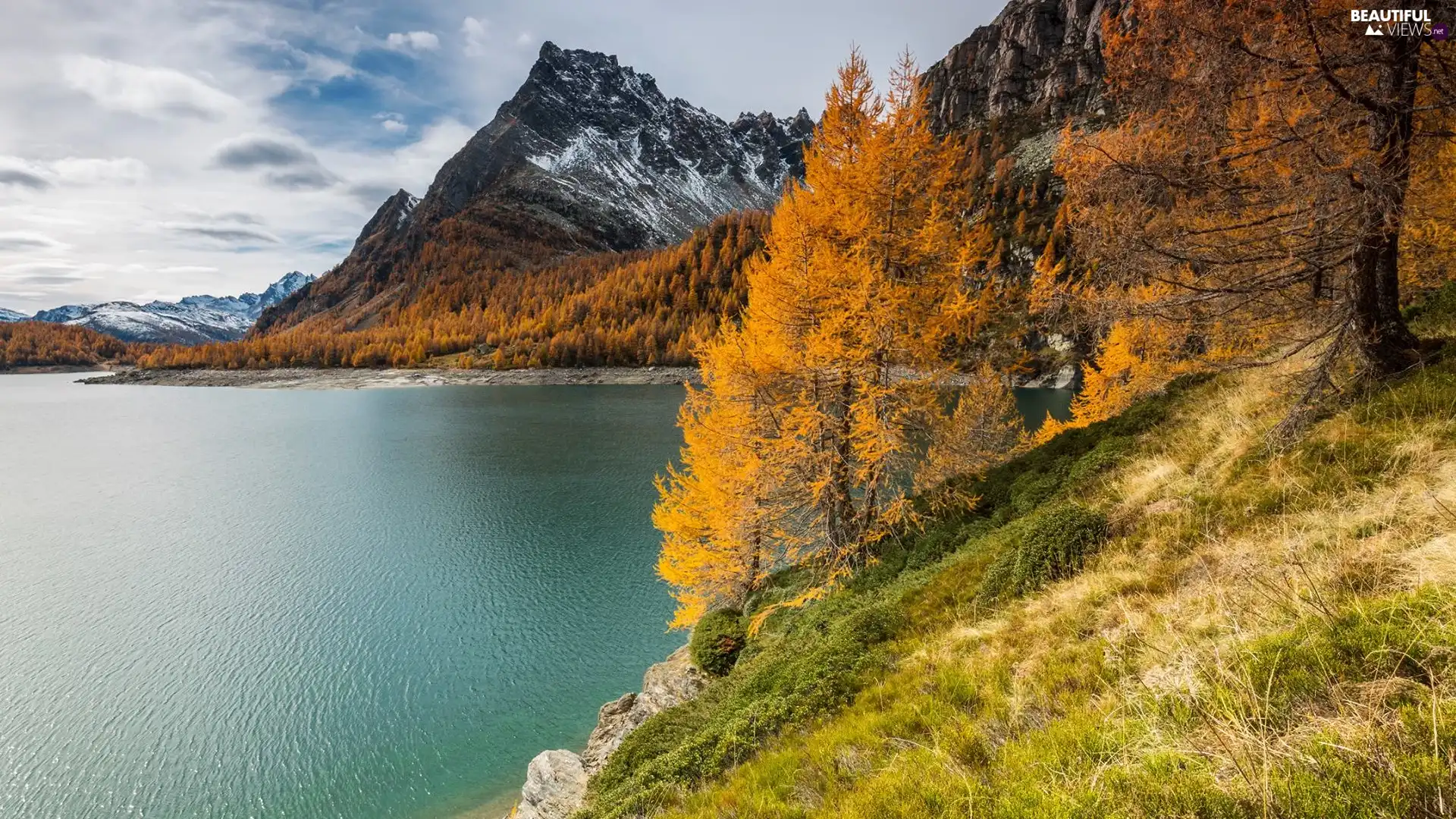 trees, lake, autumn, Yellowed, Mountains, viewes, clouds