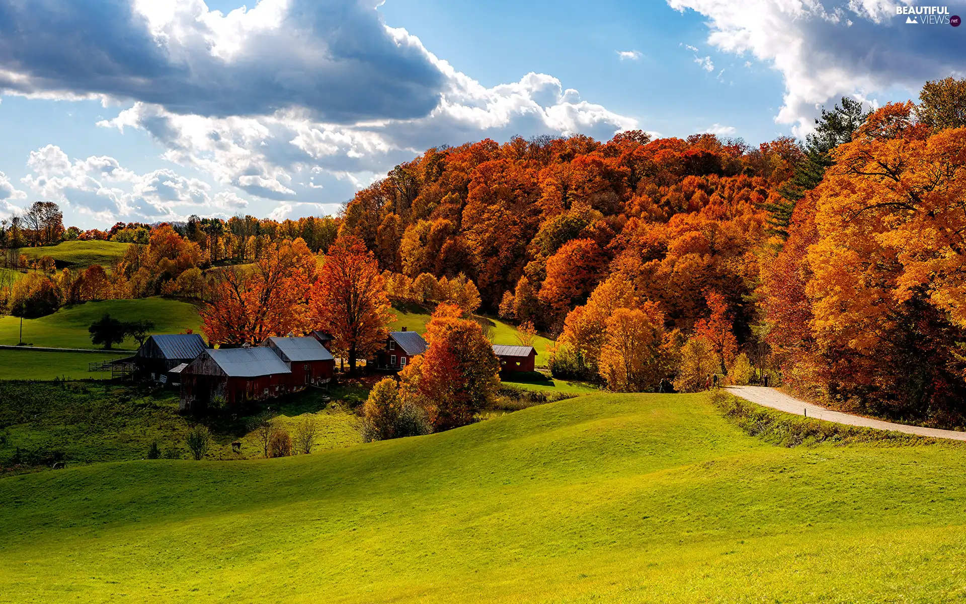 Yellowed, Houses, medows, viewes, grass, autumn, Way, clouds, trees, woods