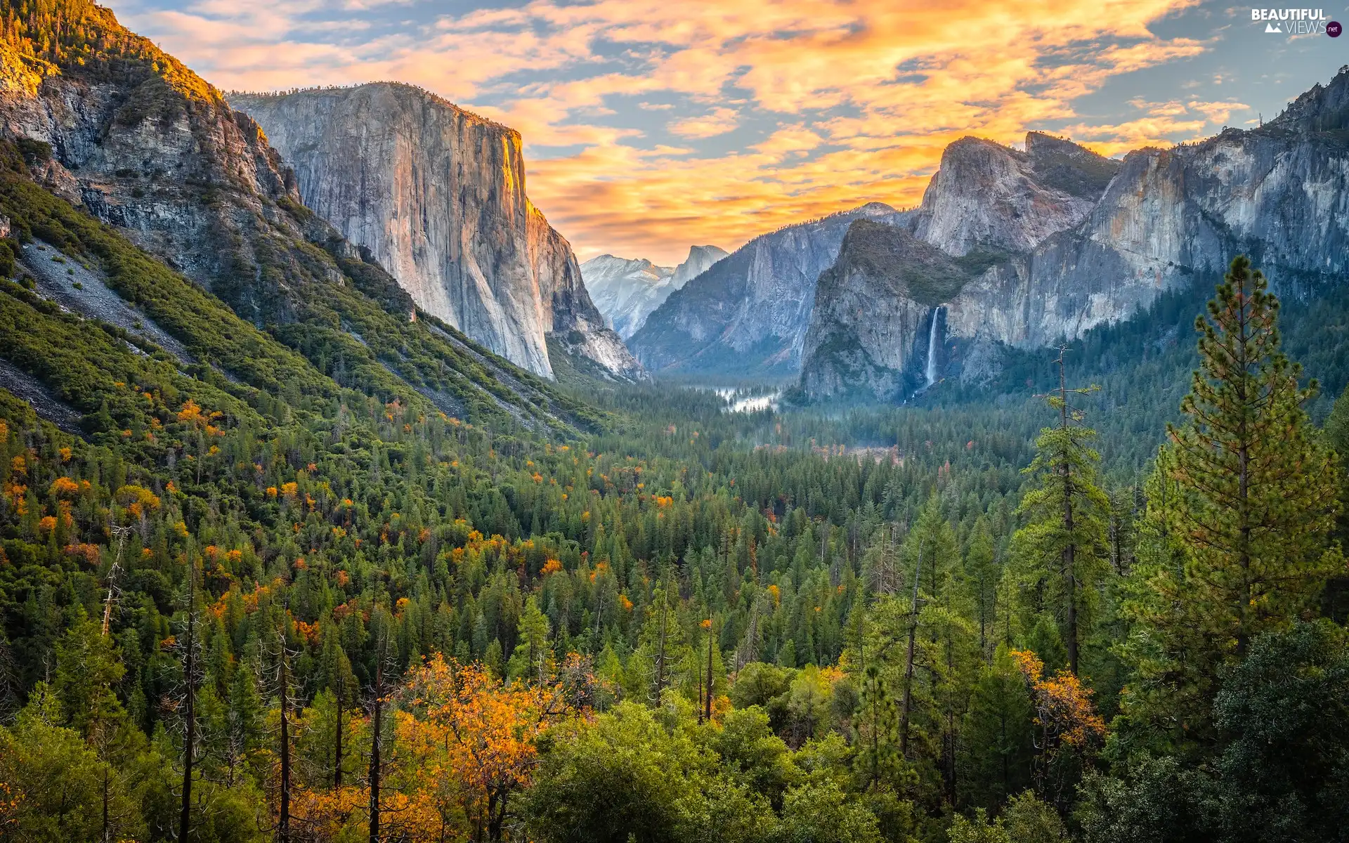 Yosemite National Park, The United States, trees, viewes, Mountains, California