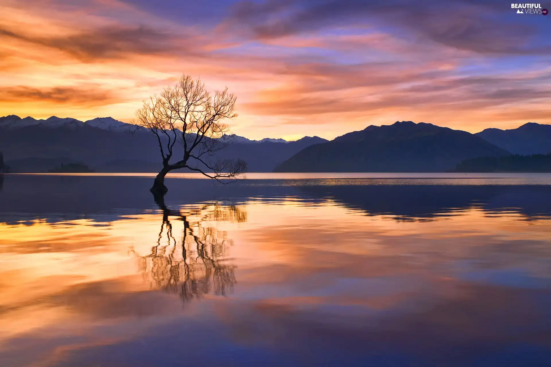 Mountains Sunset, reflection, Wanaka Lake, trees, New Zeland